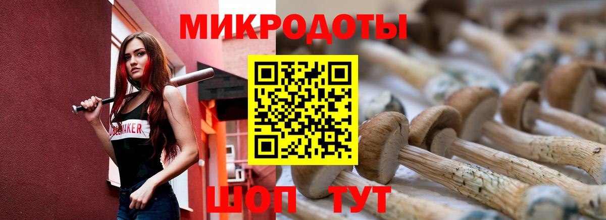 Галлюциногенные грибы Psilocybe  Галлюциногенные грибы Psilocybe  Вход с VPN  Кинель 